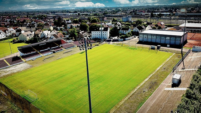 它们尽快摆 它们尽快摆