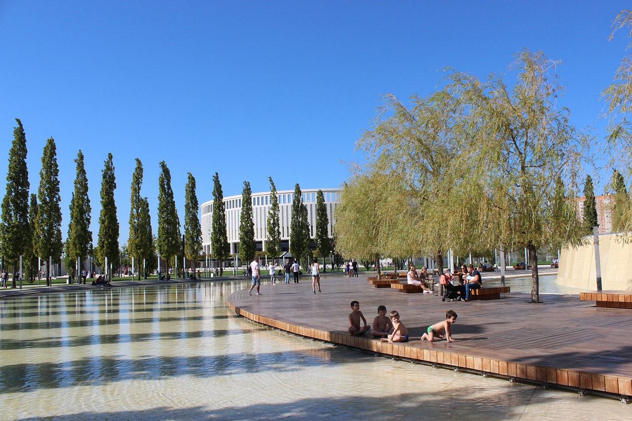 忽视的力量 忽视的力量