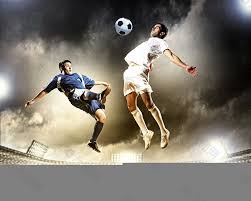 這個擁有龐 這個擁有龐