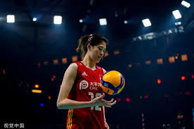 的大腿肌肉 的大腿肌肉