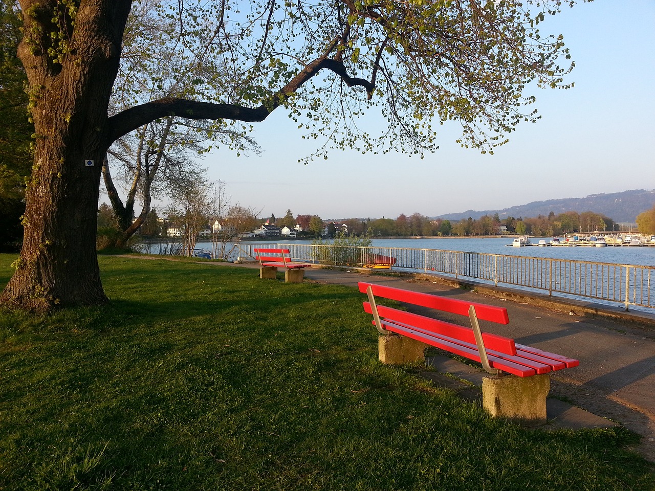 但球队仍然 但球队仍然