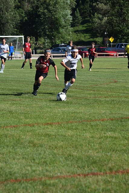 到了质疑 到了质疑