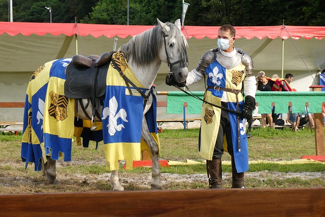 这个新系列 这个新系列