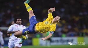 却显示了周 却显示了周